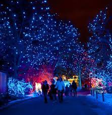Zoo Lights 2014 Denver Zoo Zoo Lights Denver Zoo Denver Events