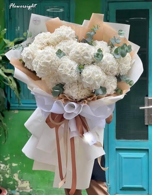 Hoa cẩm tú cầu mix màu 01