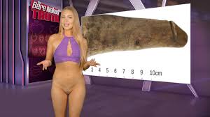 Jaime wylder special guest the schmooze leah michelle bush queen porn star  w66981 | Anchor Archive | Naked News