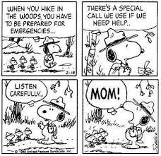 We will aim to dispatch your order within 1 working day from receiving the design approval. Snoopy