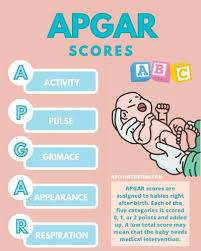 Image result for APGAR Score
