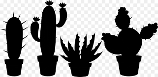 Sus tonos rosas y amarillos hacen de ella una planta muy llamativa. Cactus Planta Suculenta El Diseno Con Plantas Suculentas Imagen Png Imagen Transparente Descarga Gratuita