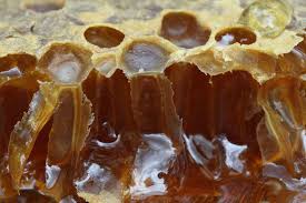 صور العسل Honeycomb Honey Packaging Food Bee Keeping