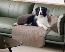 small dog beds and cushionsの画像