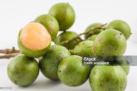 Image result for Melicoccus