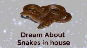 Dream About Snakes In House Dreams Meaning And Interpretation Lemon Healthy Dream Meanings Snake