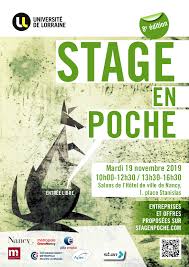 Stage En Poche Nancy 8eme Edition Factuel