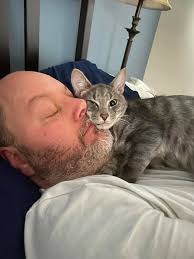 How to find a lost cat in Puyallup, Washington?