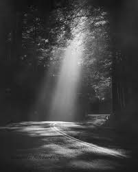 The Use Of Lighting Is Shining Through The Trees Creating Shadows All Around The Light White Photography Black And White Landscape Black And White Photographs