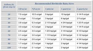 16 ounces or 1 pint. 3 Ounces Of Shrimp Equals How Many Novocom Top