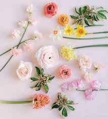 Picking Posies The Secret Language Of Flowers The Salonniere Daffodil Flower Language Of Flowers Flower Meanings