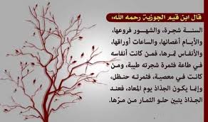 اجمل اقوال ابن القيم الجوزيه بالصور Home Decor Decals Decor Home Decor