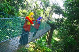 Book furama bukit bintang, kuala lumpur on tripadvisor: Kl Tower Kl Forest Eco Park