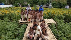 Dapat menahan angin dan curah. Bermanja Manja Sambil Belajar Di Kebun Bunga Matahari Kediri Regional Liputan6 Com