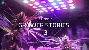 Maybe you would like to learn more about one of these? Ledtonic Enlightens Us On The Specifics Of Led Lighting Askgrowers