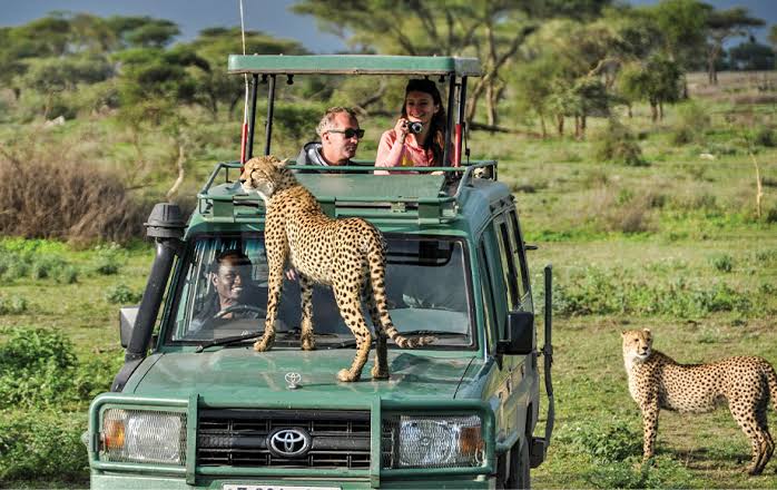 Tanzania Safari Cost 2026 - Midrange vs Luxury
