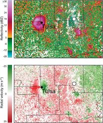 Looking for wildlife removal and pest control services in schenectady, albany, and nearby cities? Partly Cloudy With A Chance Of Migration Weather Radars And Aeroecology In Bulletin Of The American Meteorological Society Volume 93 Issue 5 2012