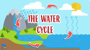 This process is very crucial in delivering the water from oceans to lands, and back again. Educational Video The Water Cycle For Kids Happy Learning