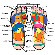 reflexology chart cheshire natural health