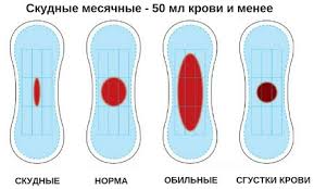 Chto Takoe Menstruaciya Fazy Menstruacionnogo Cikla