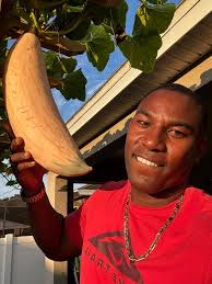 We've got action‼️ #okra #squash #happygardening