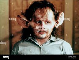 Charlie potter hi-res stock photography and images