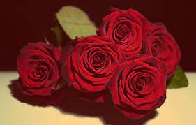 Maybe you would like to learn more about one of these? Wallpaper Love Beautiful Flowers Roses Vintage Valentine S Day Romantic Gift Bouquet Still Life In Love Romance Lovely Present Red Rose Images For Desktop Section Cvety Download