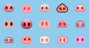 Pig Nose Emoji