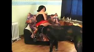Site de vidéos zoophiles avec des films de bonne qualité mettant en scènes des femmes avec des animaux. Film X Zoophile Un Max De Film Amateur Et Hard A Voir En Direct