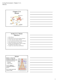 2 / biology section 11 4 meiosis answers download on gobookee.net free books and manuals search biology 1 worksheet iii (selected answers) 2 1. Section 11 4 Meiosis Answer Sheet Section 11 4 Meiosis Pages 275 278 Chromosomes Form Nucleus Dissolves Lkiop Ka