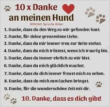 Jenny Gina Lucky Princess Hunde Casar Selina Beauty Katzen Euch Allen Danke Ich Denn Durch Euch Alle War Oder Ist Mein In 2020 Hundespruche Hunde Ich Liebe Hunde