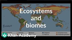 Ecosystems And Biomes Video Ecology Khan Academy