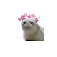 I started using the fruit emoji in 2015, the year it was added to emoji 1.0. Cat Random Meme Love Snapchat Sticker By Boo Girl
