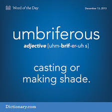 Dictionarycom Umriferous Wotd Wordoftheday Words Weird Words Uncommon Words Unusual Words