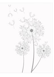 Coloring Page Dandelions Img 29515 Dandelion Drawing Flower Coloring Pages Dandelion Color