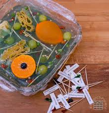 Check spelling or type a new query. Plant Cell Model Researchparent Com