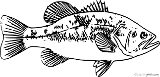 We are curious about the result, have fun! Bass Coloring Pages Coloringall