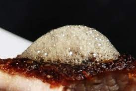 How To Make A Soy Lecithin Foam Molecular Gastronomy Molecular Food Amazing Food Made Easy