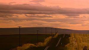 Written and directed by gus van sant. Cattle Call My Own Private Idaho 1991 Youtube