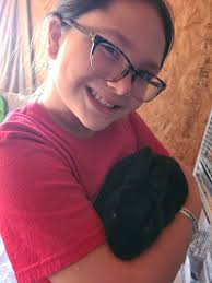 Rex bunnies for sale in Roscommon, MI