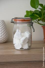 Pastilles Toilettes En 2020 Recettes De Cuisine Toilettes Cuisine