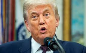 Ts Shayla commanding presence - shaping fantasy