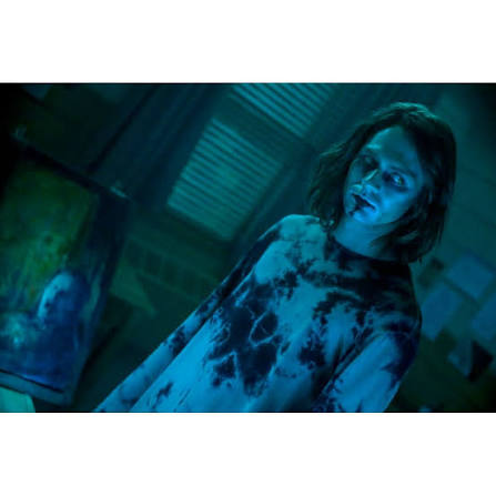 Sony, DVD + Digital Copy, Insidious The Red Door, PG-13 Horror - Walmart.com