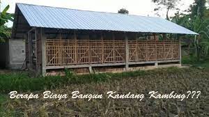 Dengan demikian, kotoran dan air kencing mudah dan sudah semestinya kandang harus terjaga kebersihannya sehingga ternak kambing dan domba lebih sehat karena tidak mudah terserang. Biaya Pembuatan Kandang Kambing Modern Youtube