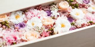 How to preserve flowers with glycerin. Dried Flowers And Preserved Flowers Heather De Kok Floral Design