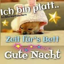 Schlau guten abend gute nacht bilder kostenlos prefarails. 79 Guten Abend Nacht Ideen Gute Nacht Grusse Nacht Gute Nacht Lustig