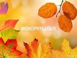 Maksud dan arti mimpi makan jeruk lemon / mari kita lihat makna yang tersimpan di balik pesan dari alam bawah sadar saat kamu tidur. 2 Arti Kata Jeruk Makan Jeruk Kamus Besar Bahasa Indonesia Kbbi Samsurijal Com