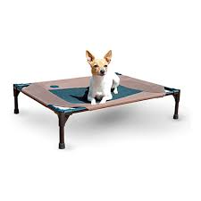 Dog supplies pvc dog bed outdoor dog dog crafts dog rooms diy stuffed animals dog kennel dog toys dog cots. Pawise Pet Cot Raised Comfort Bed For Sale In Kenya