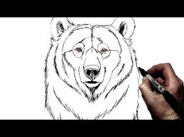 And hoping to give more information about how to draw bears. How To Draw A Bear Step By Step Youtube