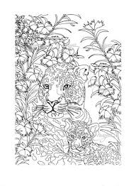 Jaguar Animal Coloring Pages Coloring Pictures Colouring Pages